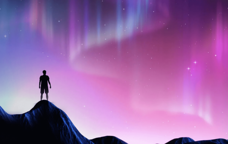 Aurora Impact Summit